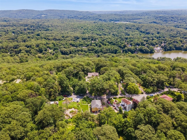 123 Pleasant Rd, Lake Peekskill, NY 10537 - aerial view of a forest and a nearby body of water