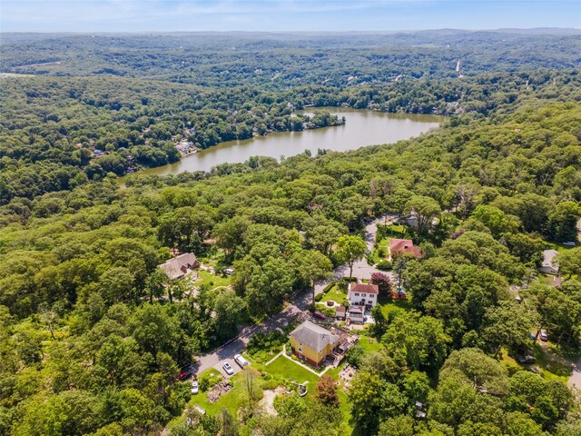 123 Pleasant Rd, Lake Peekskill, NY 10537 - aerial view of a heavily wooded area and a nearby body of water