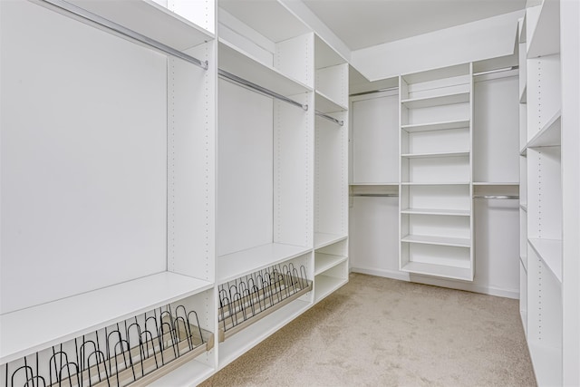 24 N De Baun Ave Unit 304, Suffern, NY 10901 - walk in closet with carpet flooring