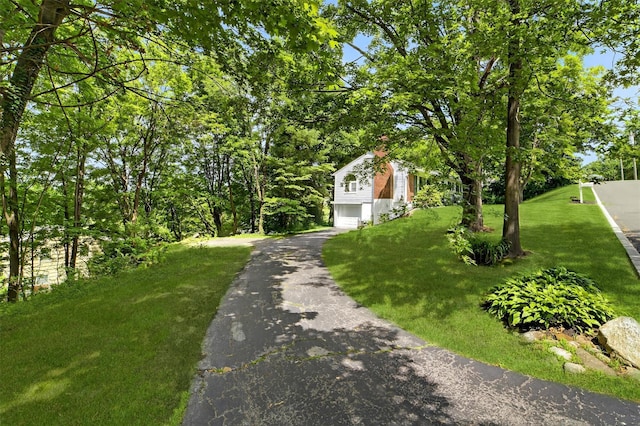21 Tappan Ter, Briarcliff Manor, NY 10562 - photo 44
