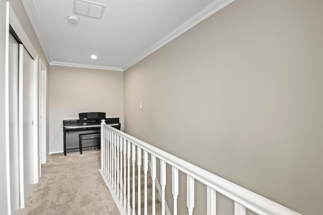 34 Thomas Ln, East Setauket, NY 11733 - photo 20