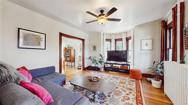 6 Dutchess Ter, Beacon, NY 12508 - photo 7
