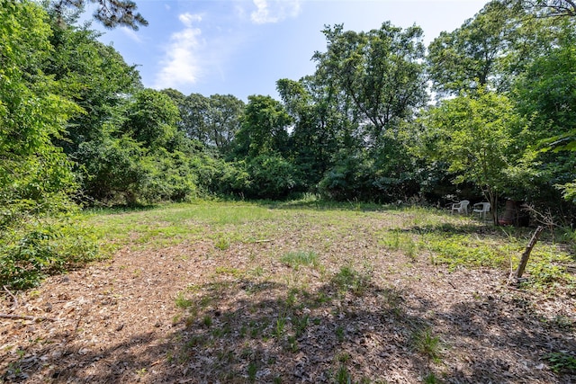 33 N Coleman Rd, Centereach, NY 11720 - view of yard with a forest view