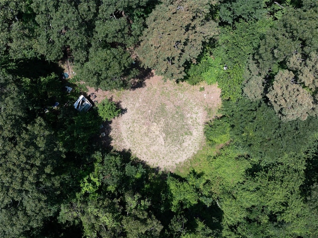 33 N Coleman Rd, Centereach, NY 11720 - aerial view of property and surrounding area