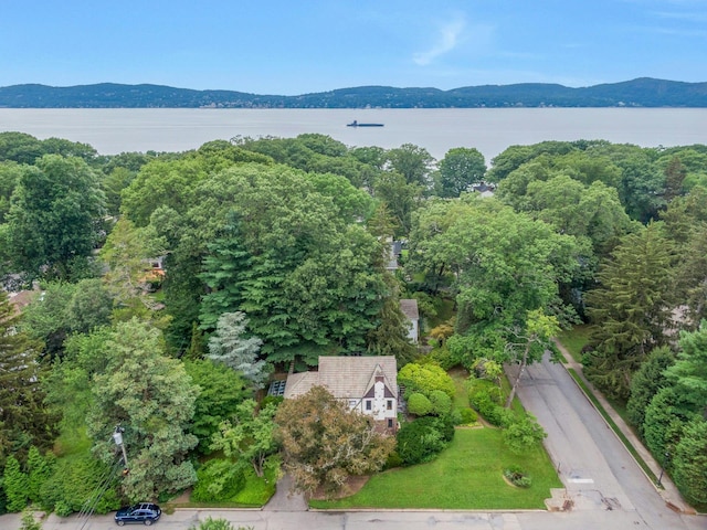 549 Munroe Ave, Sleepy Hollow, NY 10591 - photo 30