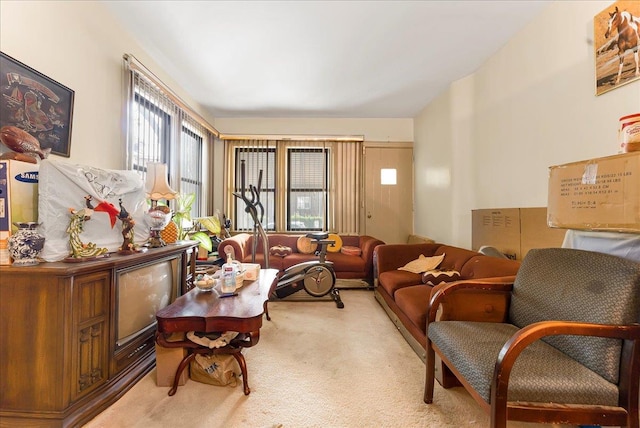 4026 Wickham Ave, Bronx, NY 10466 - view of carpeted living area