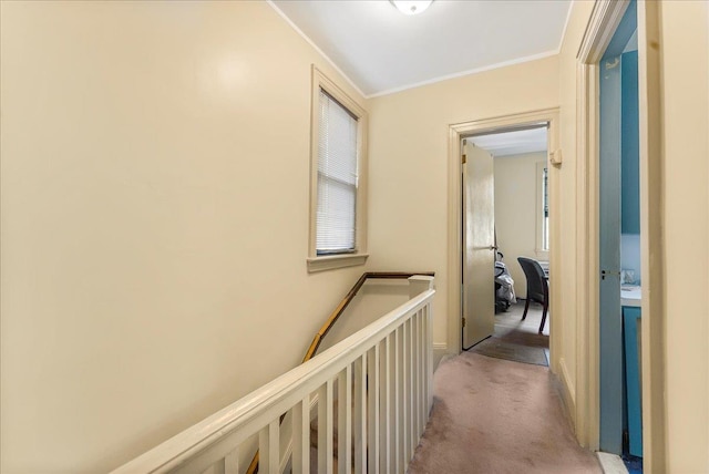 4026 Wickham Ave, Bronx, NY 10466 - photo 15