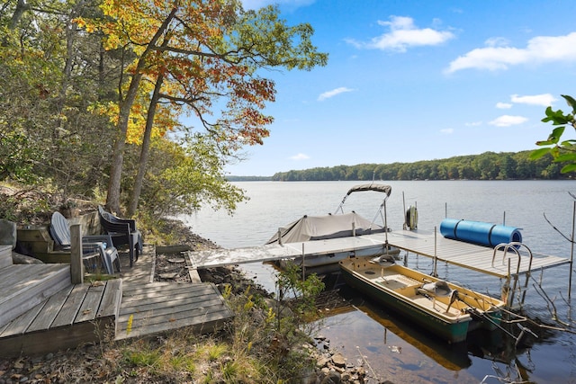 16 Canal Rd, Wurtsboro, NY 12790 - dock with a water view and a view of trees