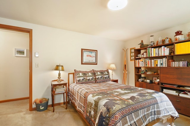 16 Canal Rd, Wurtsboro, NY 12790 - bedroom with light colored carpet and baseboards