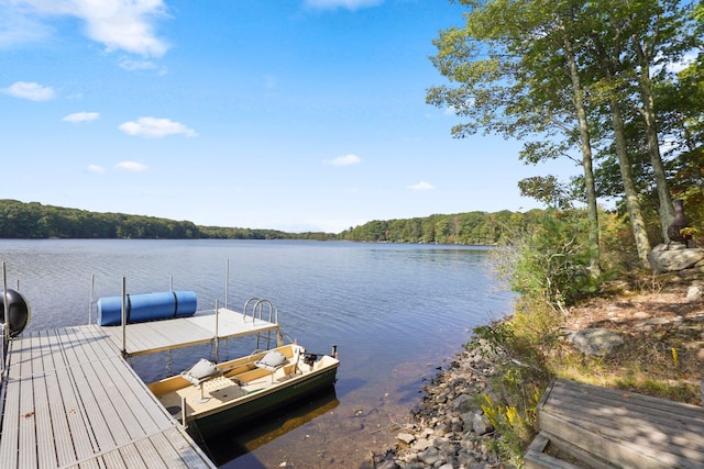 16 Canal Rd, Wurtsboro, NY 12790 - dock area with a water view and a view of trees