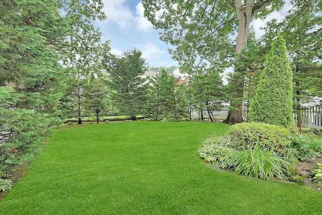41 Cowdrey St, Yonkers, NY 10701 - view of yard