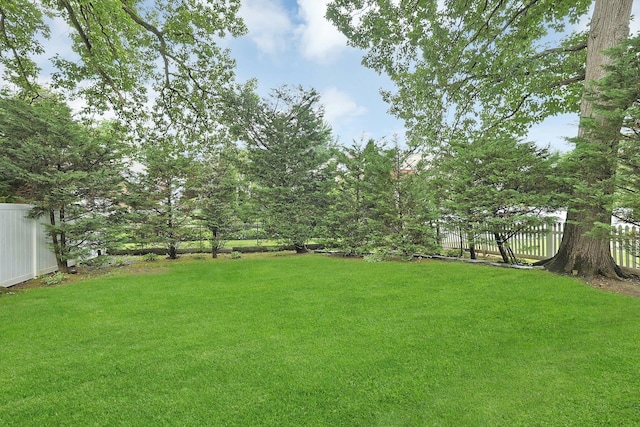 41 Cowdrey St, Yonkers, NY 10701 - view of yard