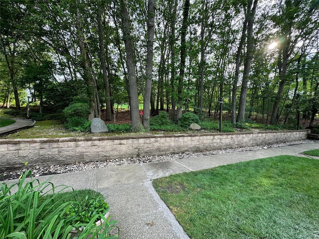 115 Birchwood Rd, Coram, NY 11727 - photo 21