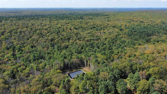 921 State Route 55, Eldred, NY 12732 - photo 2