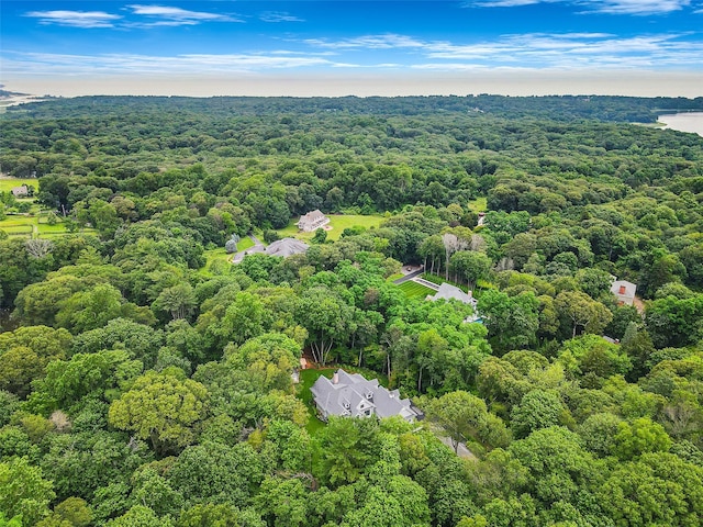 595 Moriches Rd, Nissequogue, NY 11780 - photo 42