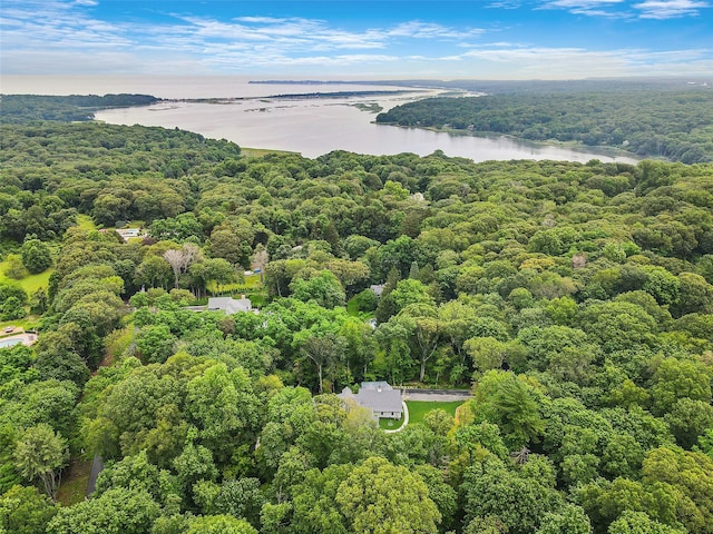 595 Moriches Rd, Nissequogue, NY 11780 - photo 43