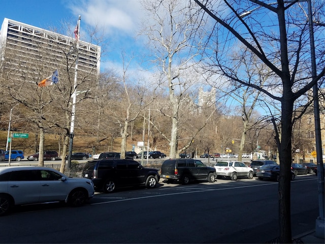 30 Edgecombe Ave, New York Manhattan, NY 10030 - view of asphalt street