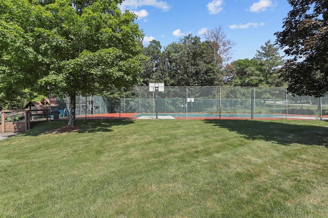24 Wild Birch Farms, Cortlandt Manor, NY 10567 - view of yard featuring community basketball court