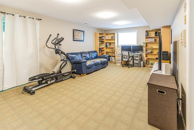 21 Brockton Rd, Spring Valley, NY 10977 - workout room with carpet flooring