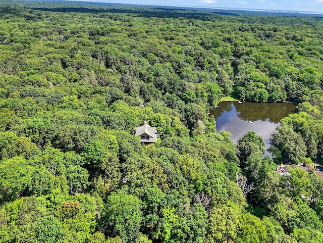 16 Gorge Ln, Pound Ridge, NY 10576 - photo 48