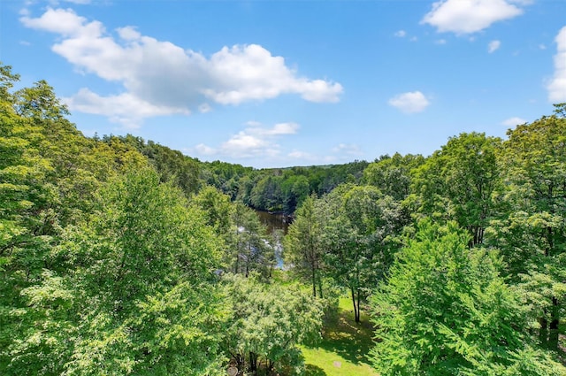 16 Gorge Ln, Pound Ridge, NY 10576 - photo 36
