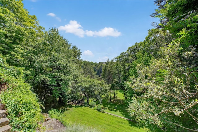 16 Gorge Ln, Pound Ridge, NY 10576 - photo 47