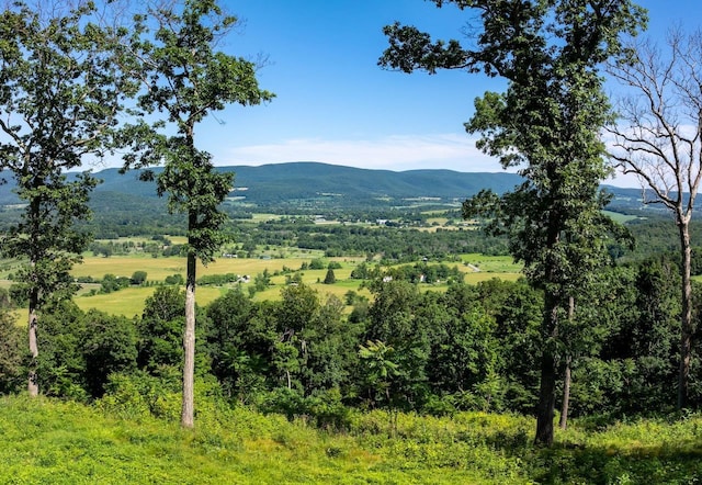 High Meadow Rd, Copake, NY 12516 - photo 2