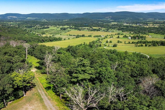 High Meadow Rd, Copake, NY 12516 - photo 3