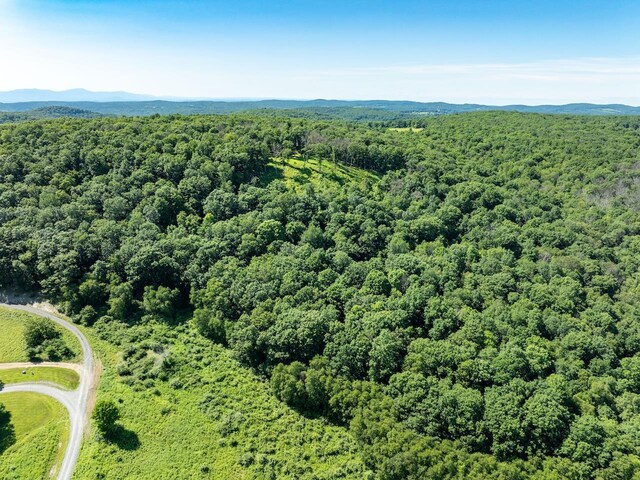 High Meadow Rd, Copake, NY 12516 - photo 4