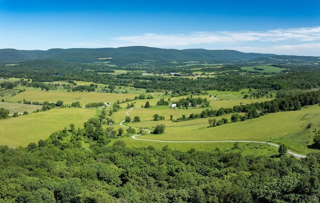 High Meadow Rd, Copake, NY 12516 - photo 6