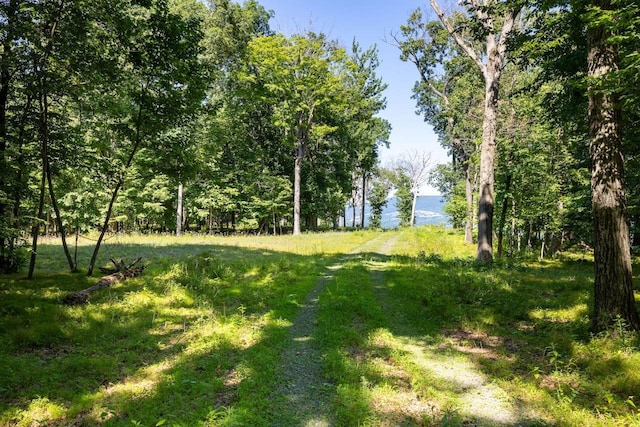 High Meadow Rd, Copake, NY 12516 - photo 7