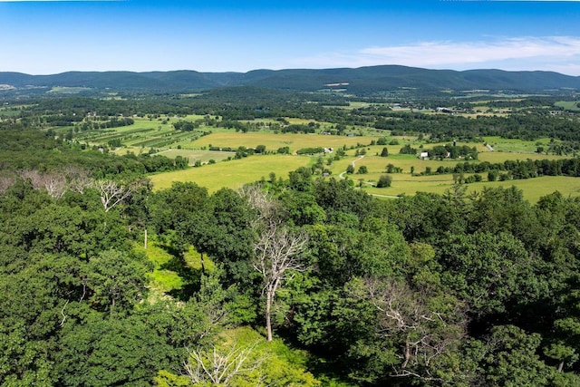 High Meadow Rd, Copake, NY 12516 - photo 8