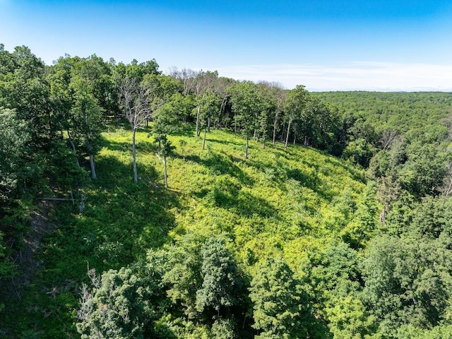High Meadow Rd, Copake, NY 12516 - photo 9