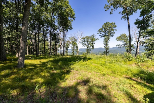 High Meadow Rd, Copake, NY 12516 - photo 10