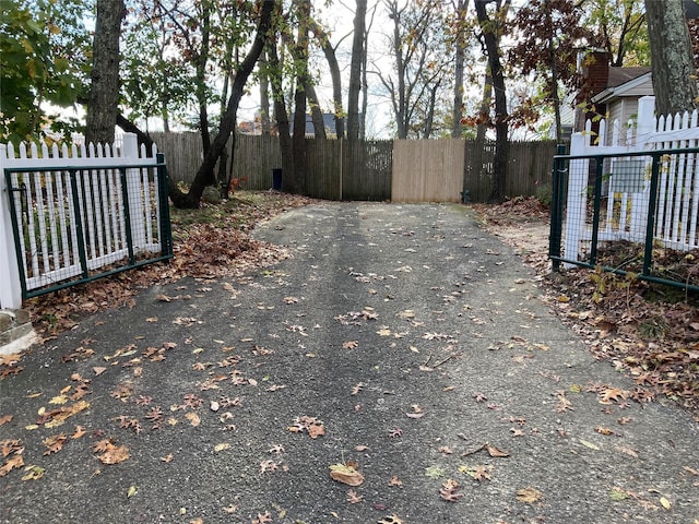 46 Violet Rd, Rocky Point, NY 11778 - view of asphalt driveway with a gated entry