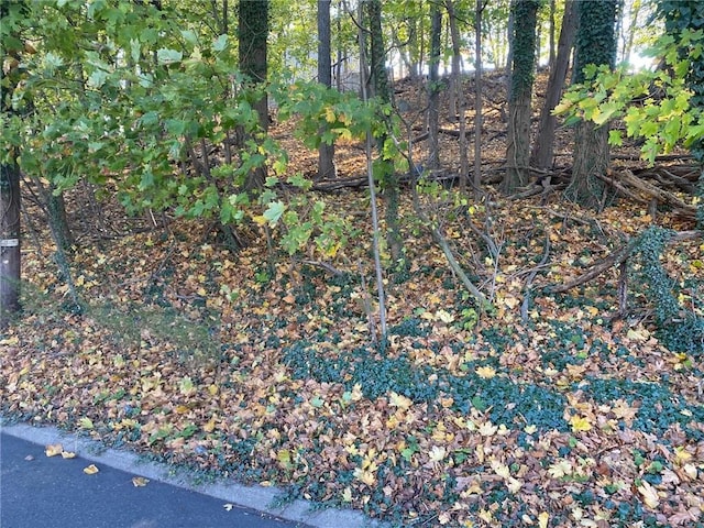 0 Ashford Ave, Dobbs Ferry, NY 10522