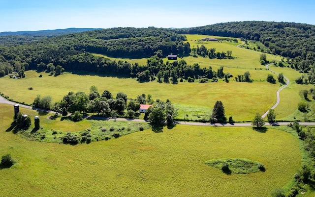 49 High Meadow Rd, Copake, NY 12516