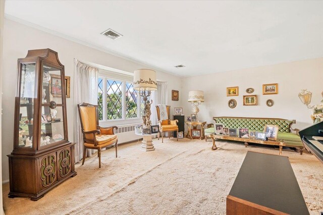 18 Sylvia Rd, Plainview, NY 11803 - photo 5