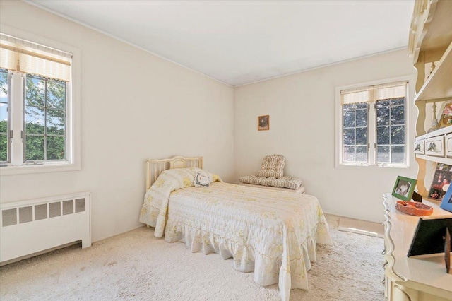 18 Sylvia Rd, Plainview, NY 11803 - photo 19