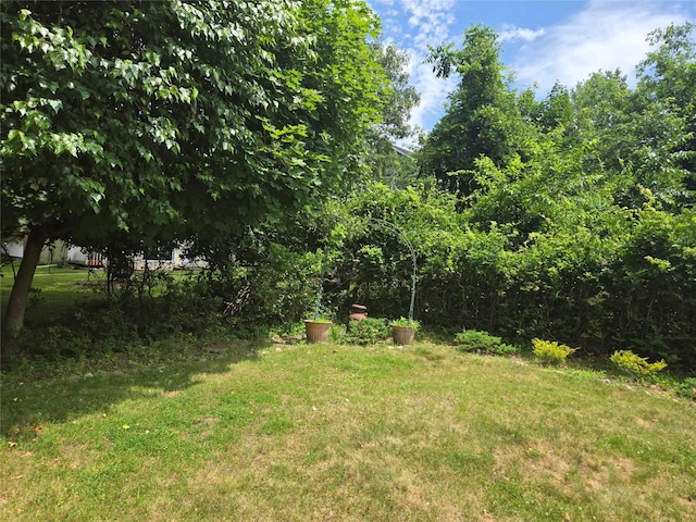3 Birch St, Airmont, NY 10952 - view of grassy yard
