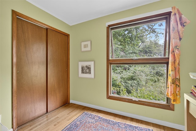 7641 N Broadway, Red Hook, NY 12571 - unfurnished bedroom with light wood-style floors and a closet