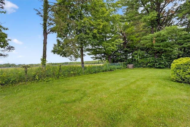 7641 N Broadway, Red Hook, NY 12571 - view of yard with a view of rural / pastoral area