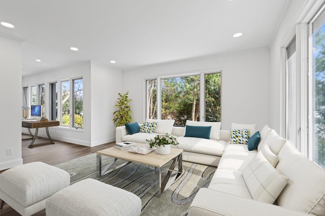 12 Foxhurst Ct, Manhasset Hills, NY 11040 - living room featuring wood finished floors, recessed lighting, and crown molding