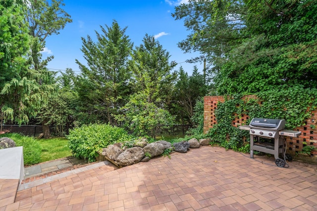 12 Foxhurst Ct, Manhasset Hills, NY 11040 - view of patio / terrace featuring area for grilling