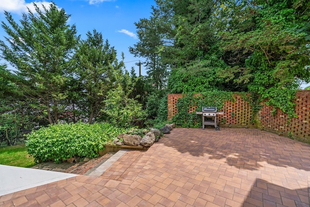 12 Foxhurst Ct, Manhasset Hills, NY 11040 - view of patio / terrace with a grill