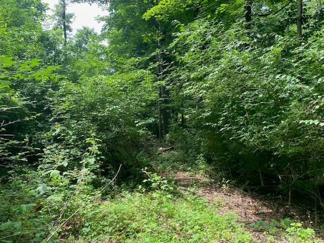 24 Devito Dr, Newburgh, NY 12550