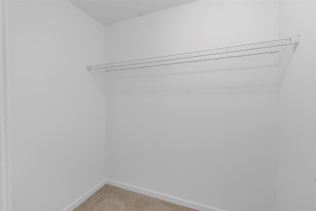 28 Pinto Rd W, Middletown, NY 10941 - spacious closet with light carpet