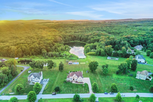 28 Viola Ct, Wappingers Falls, NY 12590 - aerial view of property's location featuring a heavily wooded area