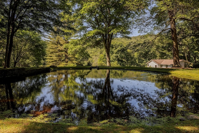 447 Butts Hollow Rd, Dover Plains, NY 12522 - water view with a heavily wooded area