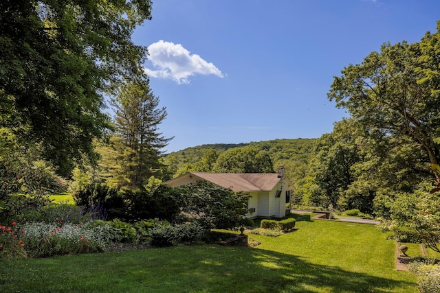 447 Butts Hollow Rd, Dover Plains, NY 12522 - view of grassy yard featuring a wooded view
